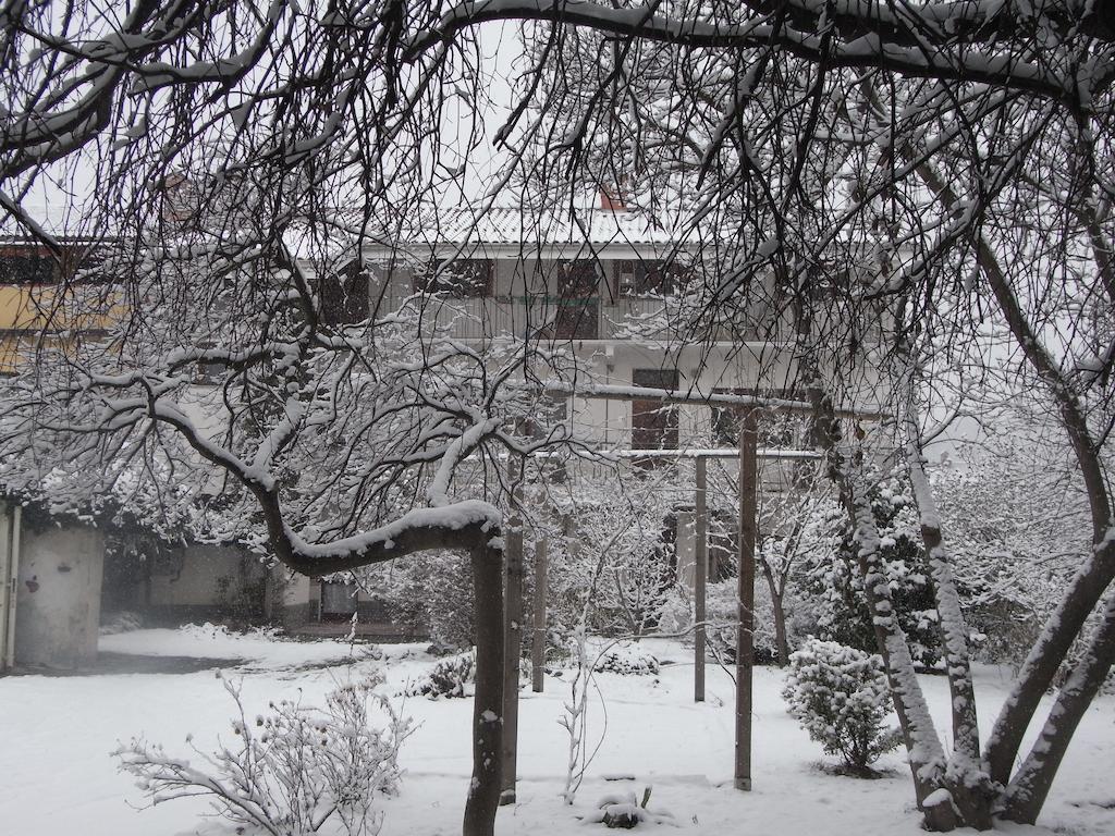 B&B Casa Passito Pavone Canavese Exterior foto